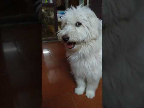 Sunday night 23-12-18