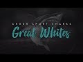 Cheersport Sharks Great Whites 2018-19