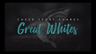 Cheersport Sharks Great Whites 2018-19