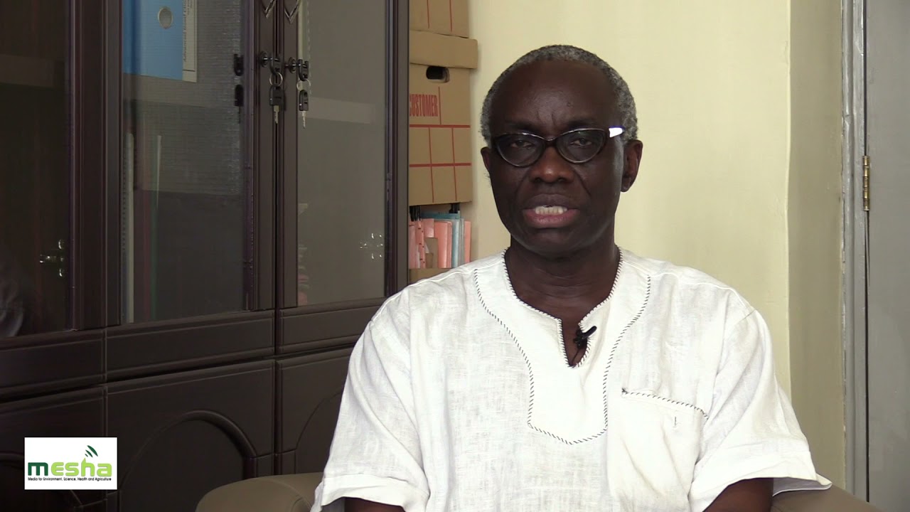 How Beekeeping helps conserve Kenya's Mara River 18th December 2021