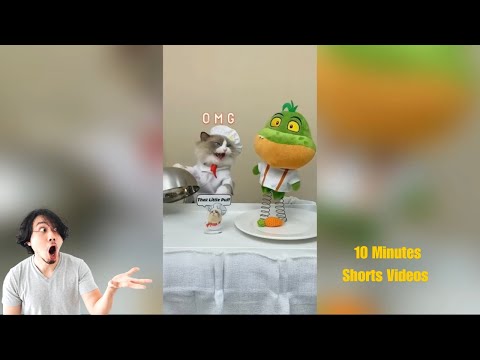 10 Minutes of Funny Cat  Videos - EP 8 - Funny Video