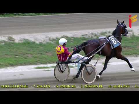 IV Corsa del 21 settembre 2021   5 e 6 anni   Metri 1600   Gentlemen