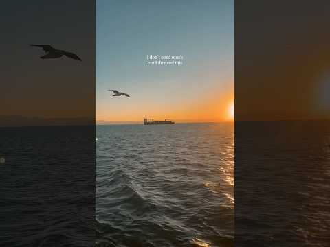 All I need #ocean #travel #oceantherapy #water #sunset