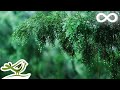 Música de piano relajante con sonidos de lluvia y de truenos para dormir o relajarse • Rainy Day mp3 Música de piano relajante con sonidos de lluvia y de truenos para dormir o relajarse • Rainy Day mp3
