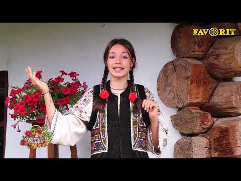 Sorina Lacramioara Anton - Am venit aici la joc