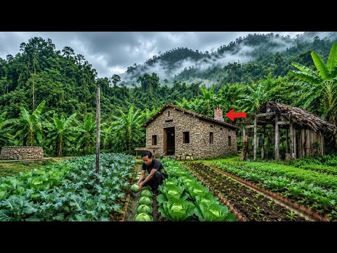 CEO loses everything, Returns to the mountains to start over from scratch .