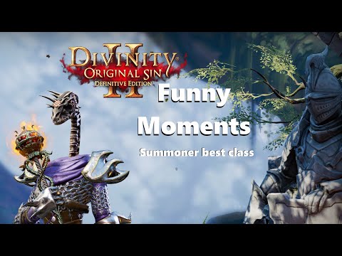 Divinity Original Sin 2 - Funny Moments