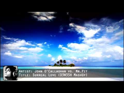 John O'Callaghan vs. Mr.Pit - Surreal Love (D3W35H Mash)