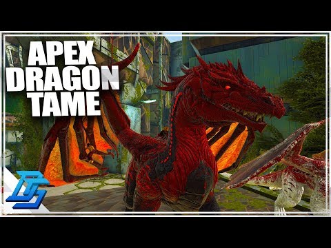 APEX DRAGON TAME SO MUCH DAMAGE!, PRIMAL FEAR - Ark Survival Evolved Gameplay - Part 20