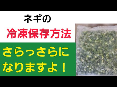 ネギの冷凍:どうすれば一番効果的ですか? 植物