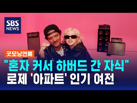 로제 "혼자 커서 하버드 간 자식"…'아파트' 인기 여전 / SBS / 굿모닝연예