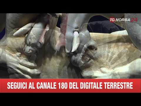 ASCOLI SATRIANO TGPRIMA GRIFONI AD EXPO