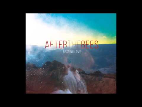 AFTER THE BEES - WINTER DAYS