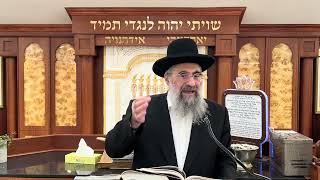 דיני עירוב תבשילין (הרב יצחק ישראלי) - התמונה מוצגת ישירות מתוך אתר האינטרנט יוטיוב. זכויות היוצרים בתמונה שייכות ליוצרה. קישור קרדיט למקור התוכן נמצא בתוך דף הסרטון