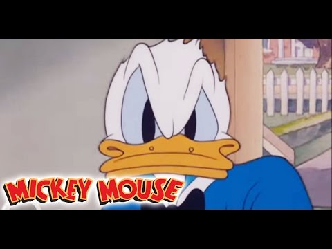 Micky Maus Kicherkracher - Kurzfilm: Donald der Chefkoch | Disney Channel