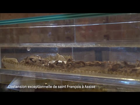 L’ostension exceptionnelle de saint François à Assise