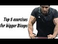 Top 5 biceps exercises for bigger Biceps muscles #biceps #bicepsworkout #bicep #bigbicepsworkout