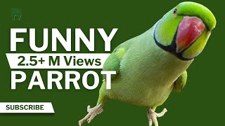 Miniature vidéo