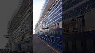 The Giant Celebrity X #cruiseship #travel #amazing #shortsfeed @subscribeme1992