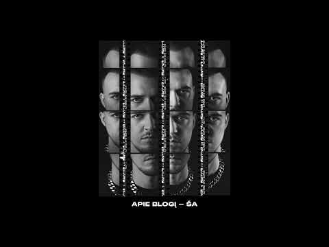 Niko Barisas - Apie blogį - ŠA (audio)