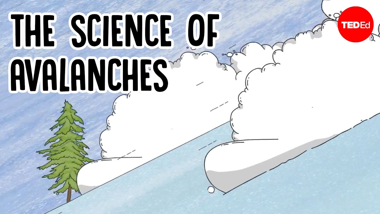 What causes avalanches, and can you survive them? - Simon Trautman