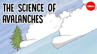 What causes avalanches, and can you survive them? - Simon Trautman