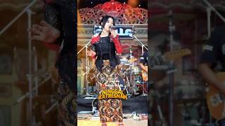 Download lagu NINGGAL KATRESNAN - Cantika Nuswantoro Adella #hennyadella #omadella #dangdutkoplo mp3 Download lagu NINGGAL KATRESNAN - Cantika Nuswantoro Adella #hennyadella #omadella #dangdutkoplo mp3