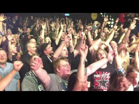 Viva Lokalmatador - Die Lokalmatadore