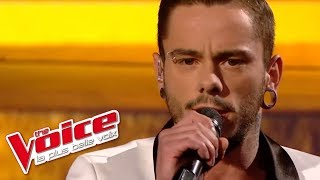 The Voice 2014│Maximilien Philippe - Comme d'habitude (Claude François)│Finale