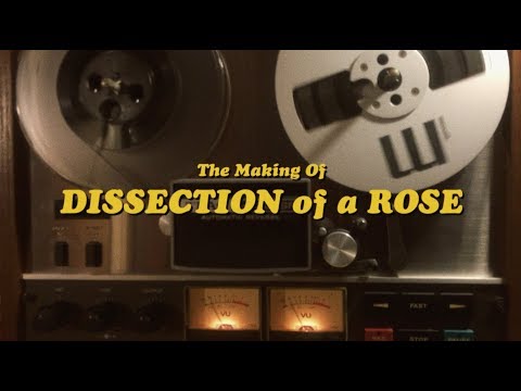 The Making Of Dissection of a Rose