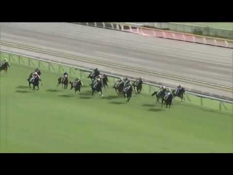 2019.10.27 2yo Newcomer - Akano Nijuichi