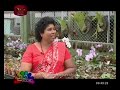 nugasewana-orhid-mal-wagawa-16-10-2019