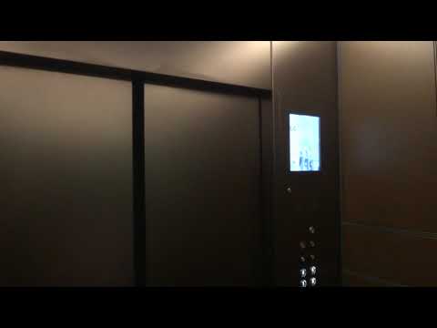 Queen Victoria Building (QVB), Sydney, Australia - Otis Gen2 MRL MCS-220 Panoramic Elevator (Lift A)