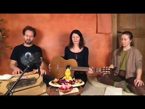 Gaiatrees - Stay Connected