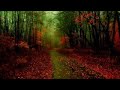 10 Hours Rain and Thunder Healing Ambient Sounds for Deep Sleeping Meditation Relaxation S