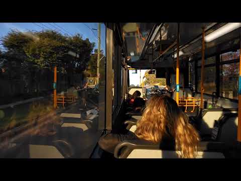 SCTV 403: M/O 8323: 962 Padstow to Miranda Mercedes O405NH Bustech (Loud ZF)