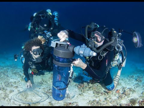 MACNA 2018 : Introducing the master of the deep sea collecting, Brian D. Greene.