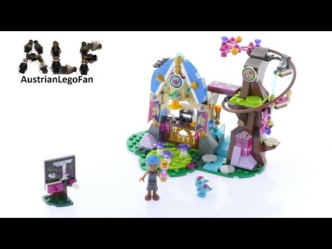 Vidéo LEGO Elves 41173 : L'école des dragons d'Elvendale