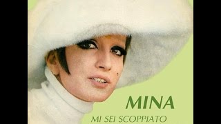 Moliendo Cafè Lyrics English Translation