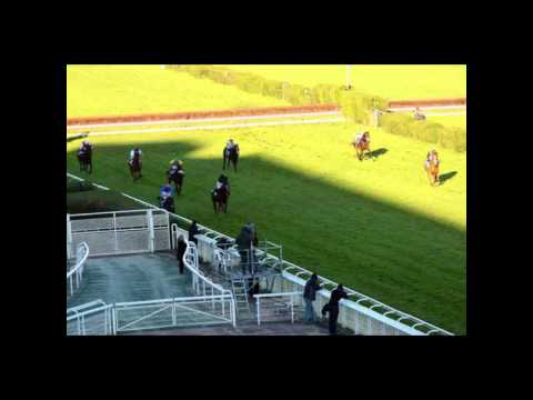 renaud du vivier 2013