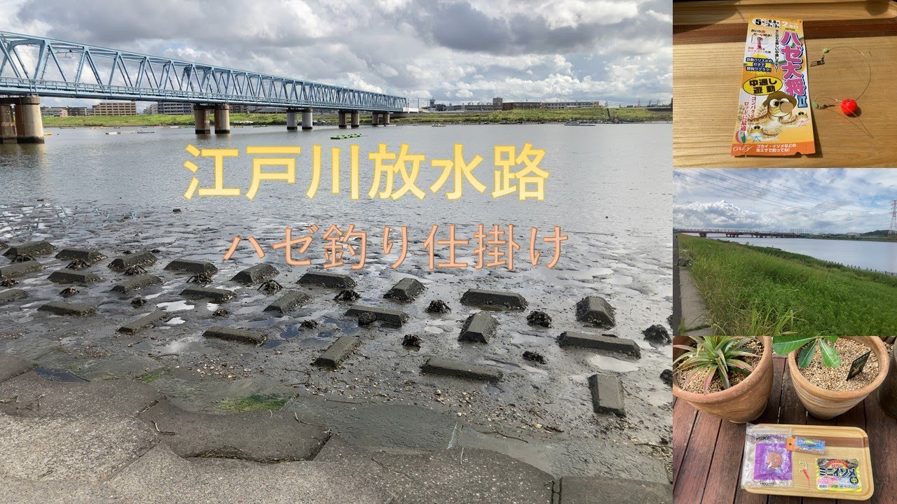 江戸川放水路　ハゼ釣り　仕掛け