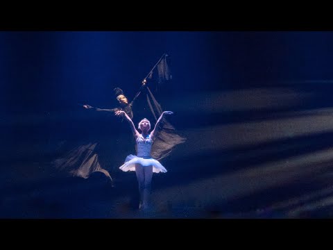 APDA 2023 Spring Dance Festival - Swan Lake  Prologue & Act1