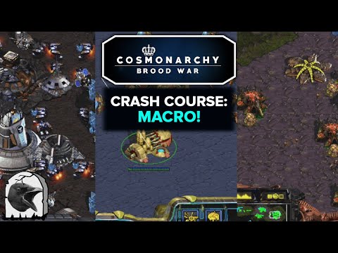 CMBW Crash Course: Macro!