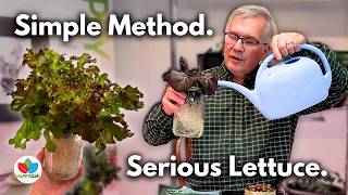 Thumbnail for video: Kratky Method: Grow Lettuce Indoors with LED Grow Lights