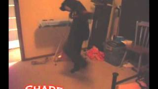 HardBassUnited - Bringing Back The Harder Styles