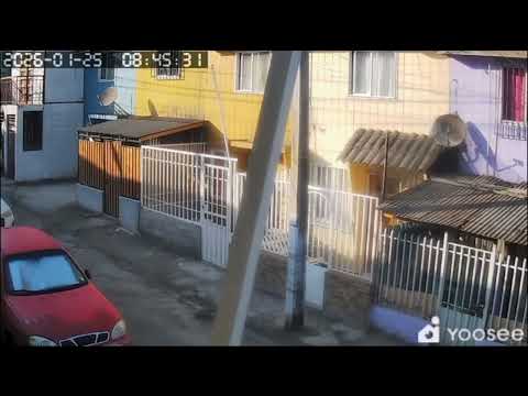 Sismo Sismhoy 25-ene-26 M. 3.9 en Tocopilla Antofagasta Chile Video cámara de seguridad 