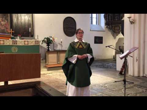 Predikan 170129 Vårfrukyrkan