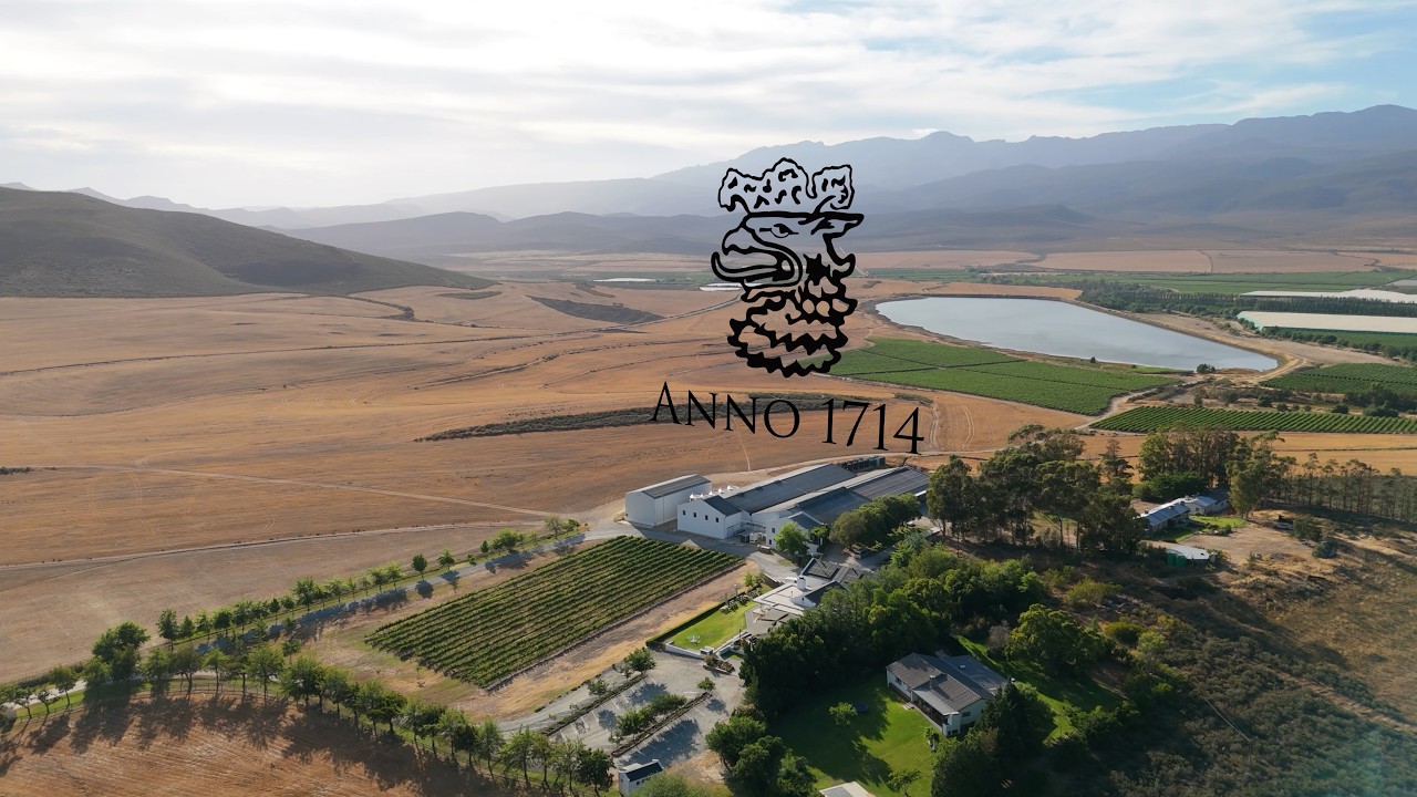 Stettyn Virtual Wine Tasting - Signature Wines
