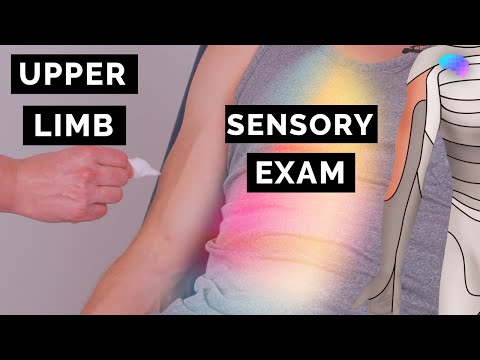 Sensory Examination of the Upper Limbs | OSCE Clip | UKMLA | CPSA | PLAB 2