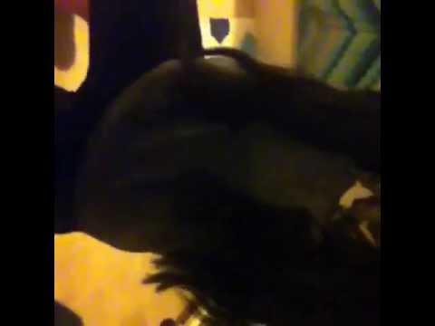 BriannaLoren’s Video 56697729215 6hHp__iVJu4